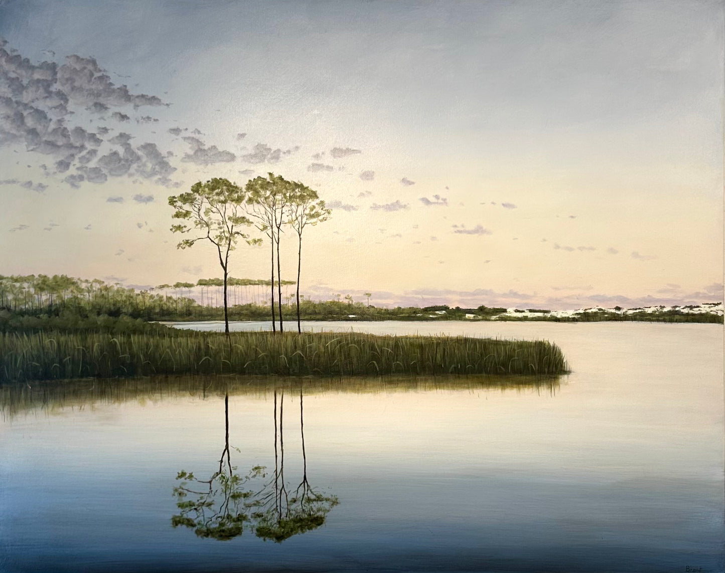 Western Lake 48”x60”