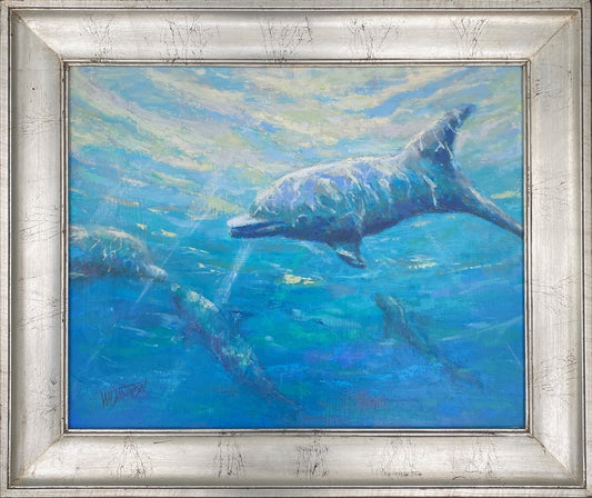 Deep Dive Dolphins 16"x20" Framed