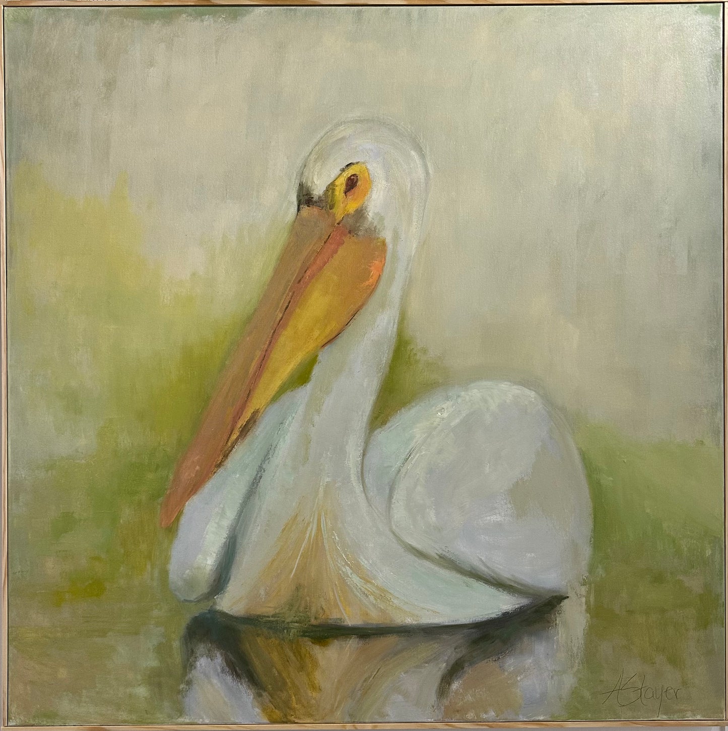 Pelican 36"x36"